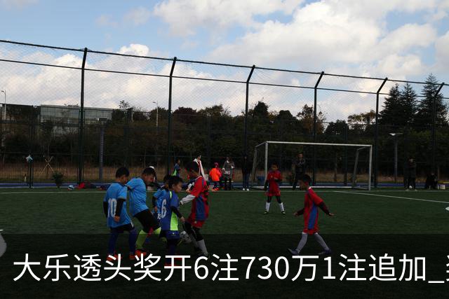 大乐透头奖开6注730万1注追加 奖池余额7.91亿